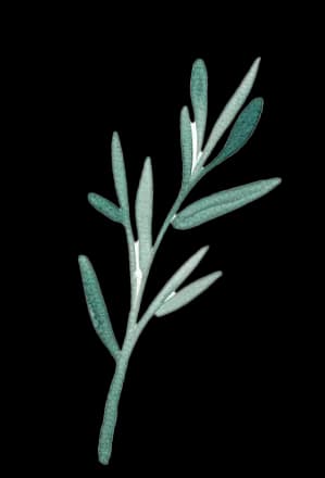 Decorative flowers